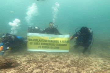 Pupuk Indonesia Grup dukung rehabilitasi terumbu karang