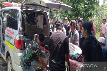 Tim evakuasi enam korban tewas akibat tambang emas longsor