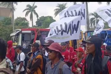 Walhi Sumsel dampingi petani aksi tuntut jaminan hak tanah