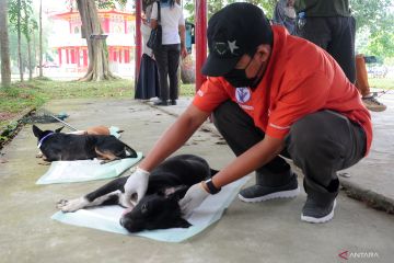 PDHI Sumsel sterilkan Pulau Kemaro Palembang dari penularan rabies