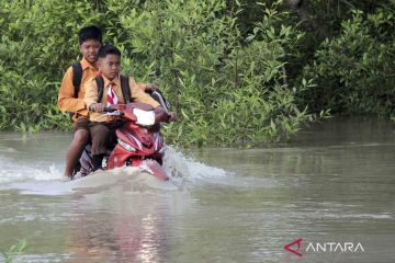 Banjir rob rendam Rokan Hilir di Riau