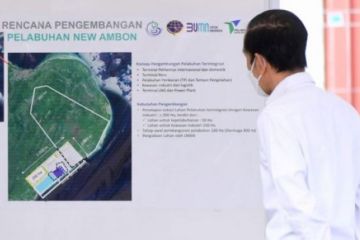 Jalan panjang Maluku wujudkan lumbung ikan nasional