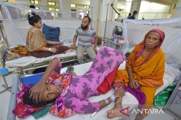 9.000 kasus baru demam berdarah dengue di Bangladesh