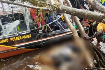 Tim SAR gabungan cari korban perahu terbalik di perairan Asmat