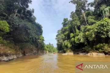 Hutan Adat Serampas jadi bagian penilaian Tim UGG-Geopark Merangin