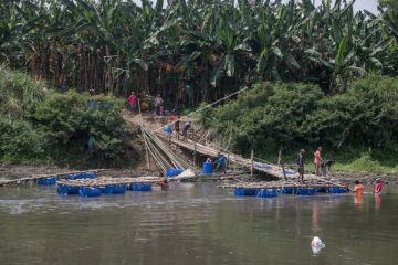 Jembatan darurat sesek bambu rusak