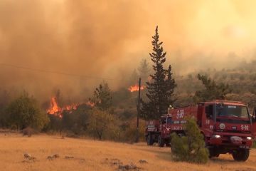 410 orang dievakuasi akibat kebakaran hutan di Provinsi Mersin, Turki