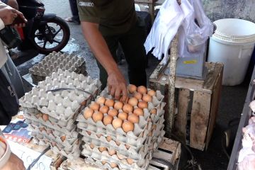 Antusiasme masyarakat sambut operasi pasar turunkan harga telur