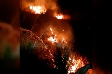Hutan dan lahan di Taman Nasional Gunung Ciremai terbakar