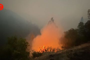 Kebakaran "Mosquito Fire" di California meluas hingga 13.000 ha