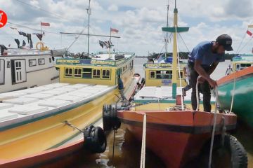 Kenaikan BBM tak pengaruhi harga ikan laut di Banjarmasin