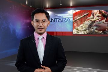 Strategi ekonomi biru KKP, hingga langkah Jambi kendalikan inflasi