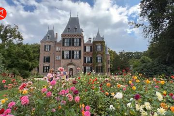 Menikmati kecantikan bunga dahlia di Kastel Keukenhof, Belanda