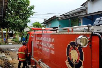 Monyet berkeliaran di permukiman warga, belum berhasil ditangkap