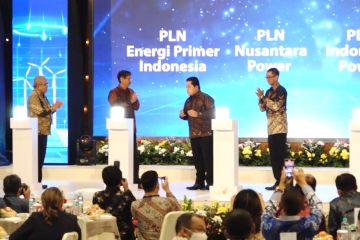 Pembentukan subholding dan restrukturisasi PLN demi transisi energi