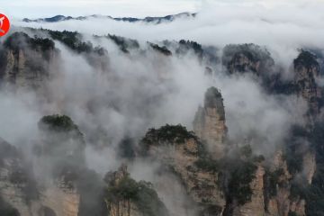 Pesona lautan awan di pegunungan Zhangjiajie, China
