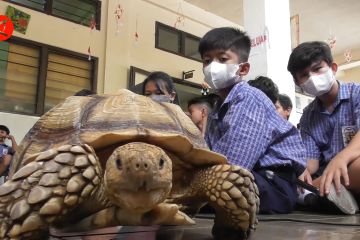 Suasana seru saat pelajar mengenal reptil di sekolah