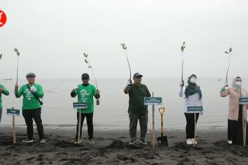 Upaya Pemkab Probolinggo cegah abrasi pantai