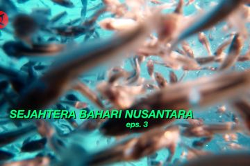 Mata Indonesia - Sejahtera Bahari Nusantara (Eps. 3)