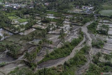 Banjir bandang terjang lahan pertanian di Tasik
