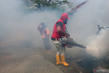 Malaysia catat dua kematian komplikasi DBD di awal Oktober