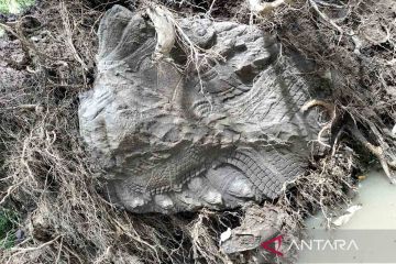 Penemuan patung kepala naga di Siem Reap Kamboja