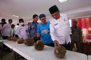 Dinas Pertanian gelar Festival Durian lokal di HUT Banten ke-22