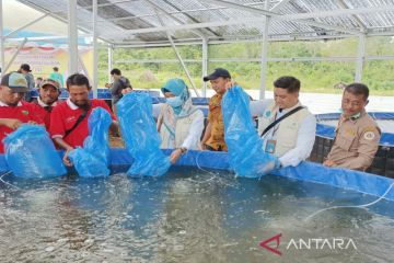 Warga Palembang berburu Ikan betok saat ngabuburit, gurih & nikmat