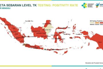 Kemenkes perkuat jejaring surveilans di daerah selama transisi endemi