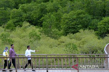 Presiden tinjau kesiapan lokasi G20 di kawasan mangrove Tahura Ngurah Rai