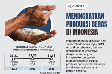 Meningkatkan produksi beras di Indonesia