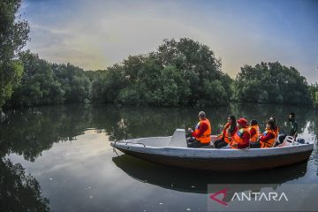 Kala mangrove menguasai pesisir