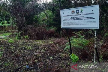KPHP ajukan lima lokasi pengelolaan hutan kemasyarakatan di Bintan