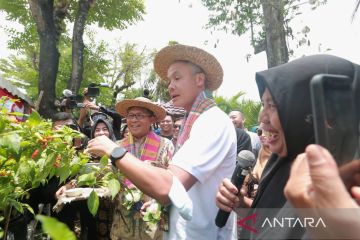 Wali Kota Makassar ajak Ganjar Pranowo panen cabai