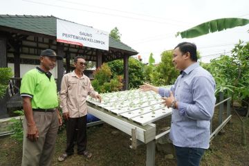 Pertamina EP berdayakan petani lewat program Pesona dan Jejak Setapak