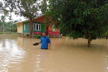 Akibat banjir, BPBD nyatakan tiga desa di Aceh Timur terisolasi