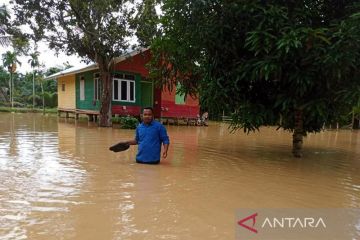 Sebanyak 4.949 jiwa di Aceh Timur mengungsi akibat banjir