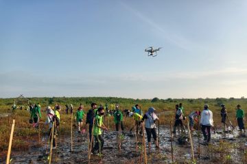 Pemkot Probolinggo cegah perubahan iklim dengan konservasi mangrove