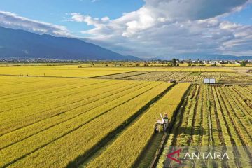 China ingin tingkatkan kerja sama pertanian dengan ASEAN