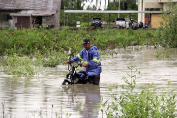 FOTO - Banjir rob di Rokan Hilir