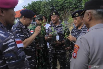 Pangkoarmada II jadikan Lanudal Kupang percontohan budi daya cendana