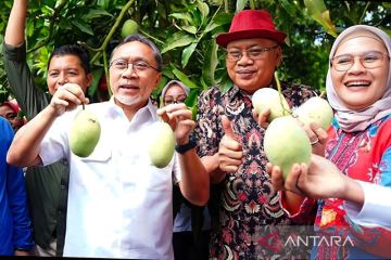 Mendag optimis mangga asli RI bakal jadi primadona masyarakat dunia