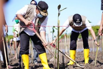 Gubernur pimpin penanaman 35.300 mangrove sambut HUT Sulsel