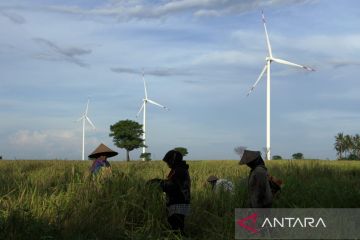 Pewarta Antara juara I lomba foto bertajuk pembangunan berkelanjutan