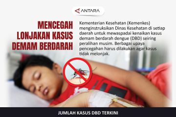 Mencegah lonjakan kasus demam berdarah