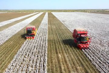 Teknologi bantu produksi dan panen kapas di Xinjiang