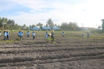 Dukung ketahanan pangan Lanud RSA buka kebun pisang