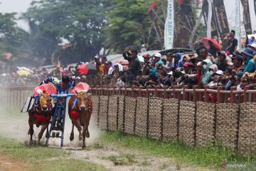 Lomba Karapan Sapi Piala Presiden