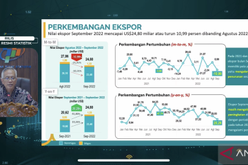 BPS: Harga beberapa komoditas di tingkat global turun, termasuk sawit