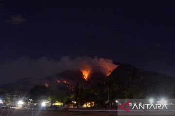 BMKG imbau waspadai potensi karhutla di tiga pulau di NTT